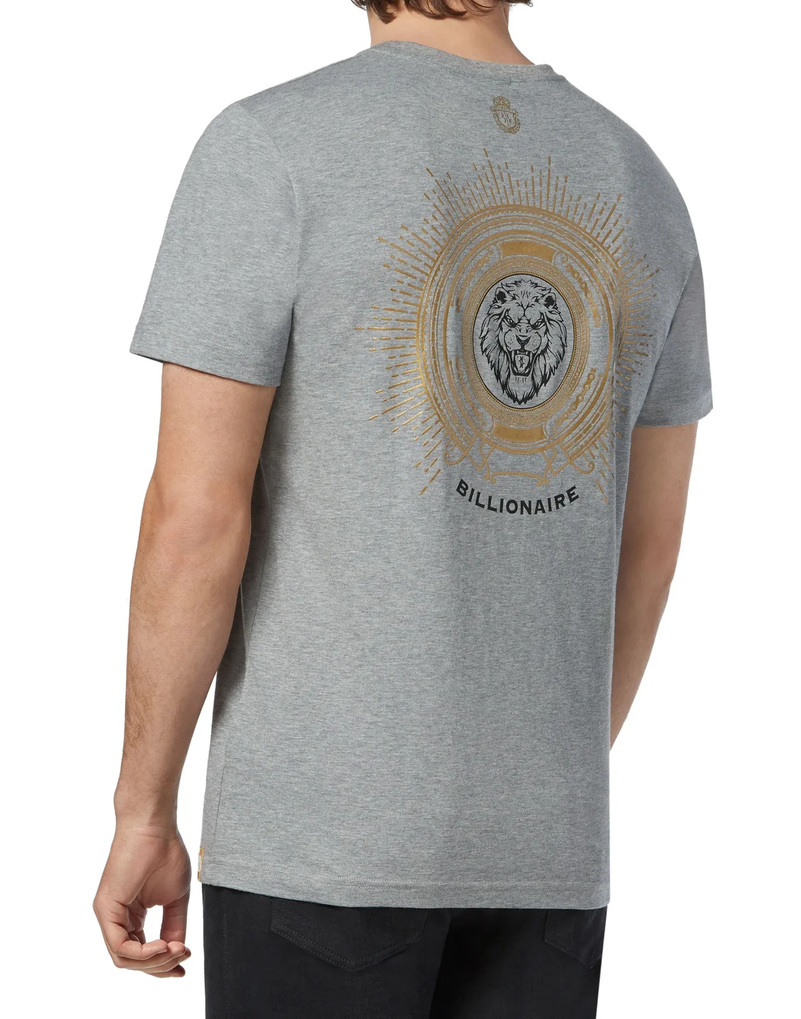 T-shirt Round Neck SS Lion, цвет: Серый