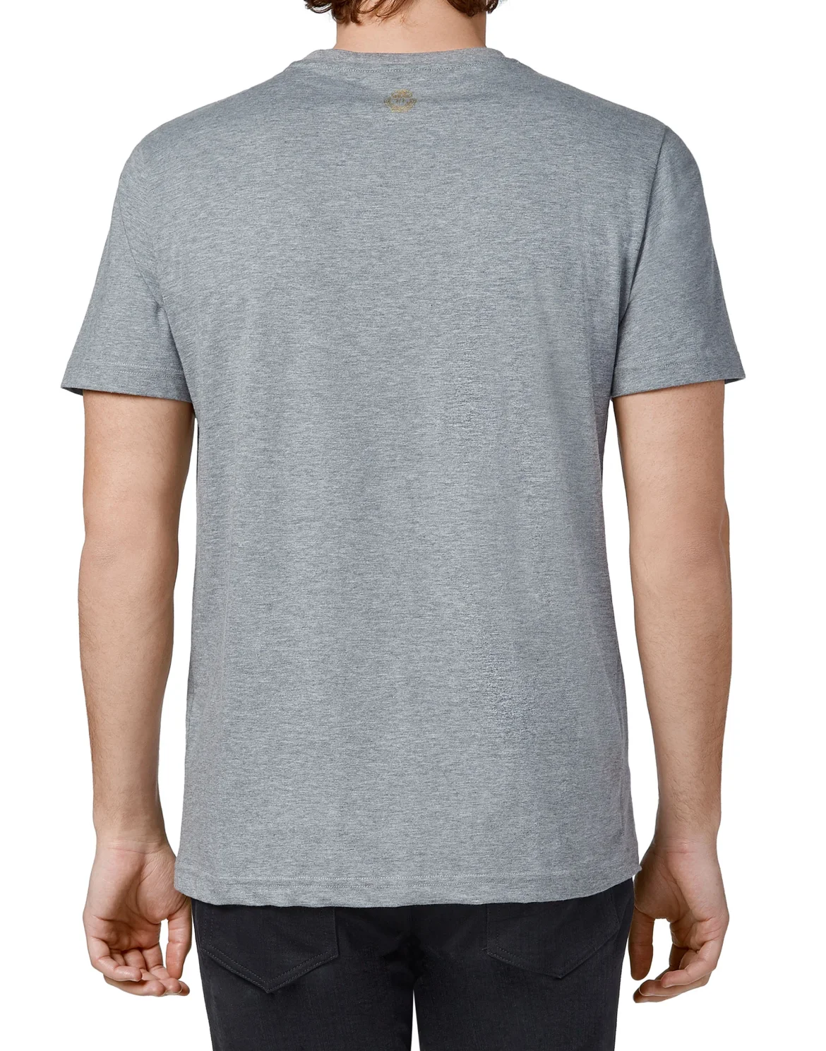 T-shirt Round Neck SS Lion, цвет: Серый
