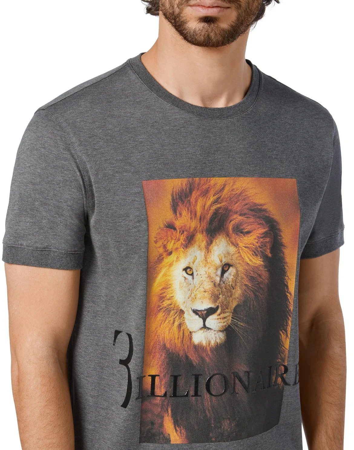 T-shirt Round Neck SS Lion, цвет: Серый