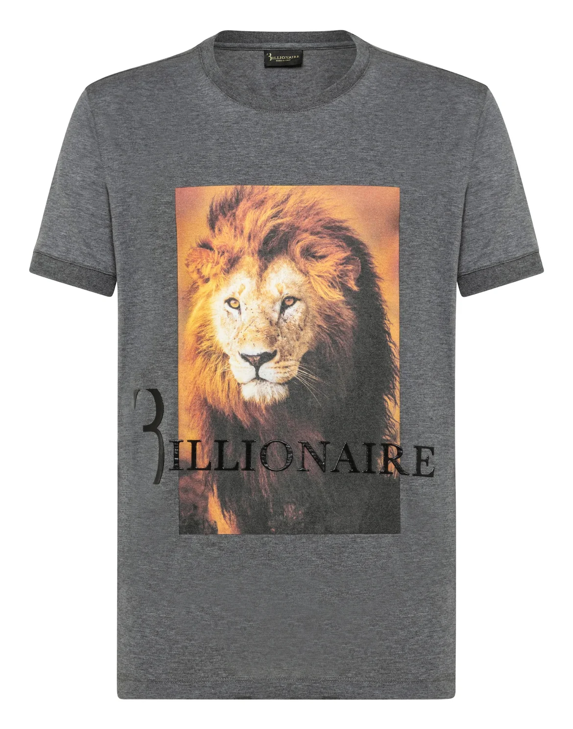 T-shirt Round Neck SS Lion, цвет: Серый