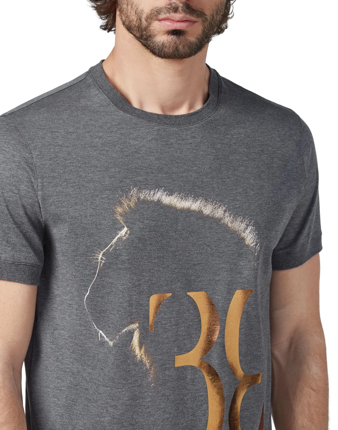T-shirt Round Neck SS Lion, цвет: Серый